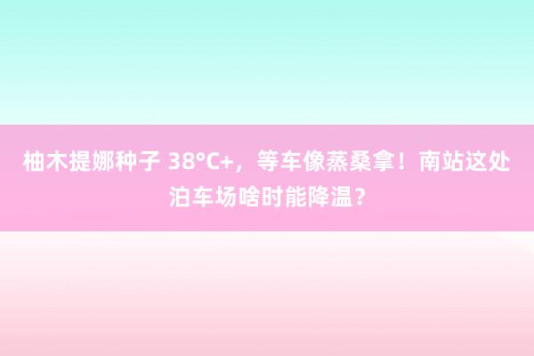 柚木提娜种子 38°C+，等车像蒸桑拿！南站这处泊车场啥时能降温？