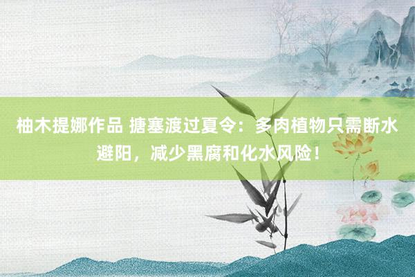 柚木提娜作品 搪塞渡过夏令：多肉植物只需断水避阳，减少黑腐和化水风险！