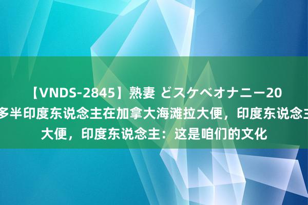 【VNDS-2845】熟妻 どスケベオナニー20連発！！ 味太冲！多半印度东说念主在加拿大海滩拉大便，印度东说念主：这是咱们的文化