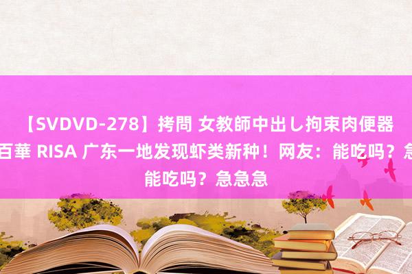 【SVDVD-278】拷問 女教師中出し拘束肉便器 仁科百華 RISA 广东一地发现虾类新种！网友：能吃吗？急急急