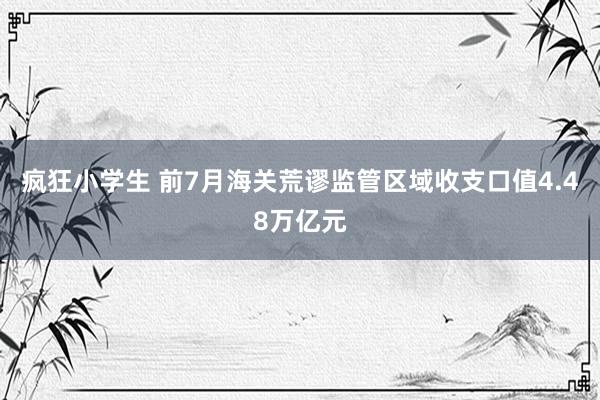 疯狂小学生 前7月海关荒谬监管区域收支口值4.48万亿元