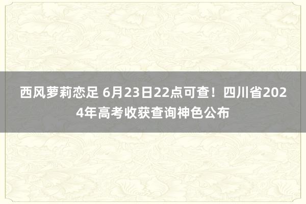 西风萝莉恋足 6月23日22点可查！四川省2024年高考收获查询神色公布