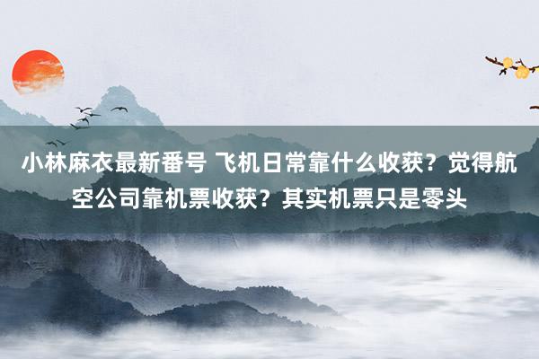 小林麻衣最新番号 飞机日常靠什么收获？觉得航空公司靠机票收获？其实机票只是零头