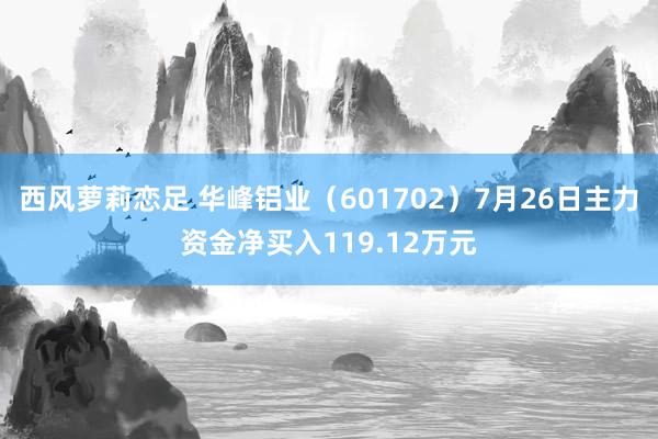 西风萝莉恋足 华峰铝业（601702）7月26日主力资金净买入119.12万元