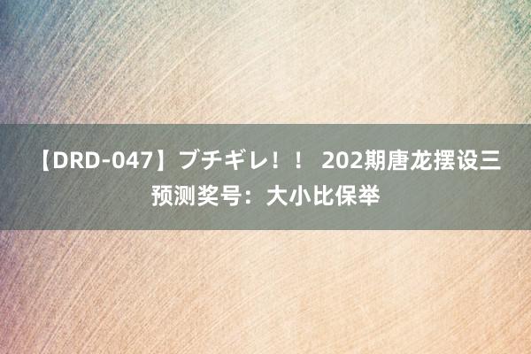 【DRD-047】ブチギレ！！ 202期唐龙摆设三预测奖号：大小比保举