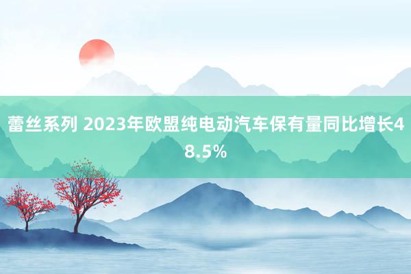 蕾丝系列 2023年欧盟纯电动汽车保有量同比增长48.5%