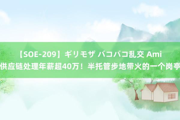 【SOE-209】ギリモザ バコバコ乱交 Ami 供应链处理年薪超40万！半托管步地带火的一个岗亭