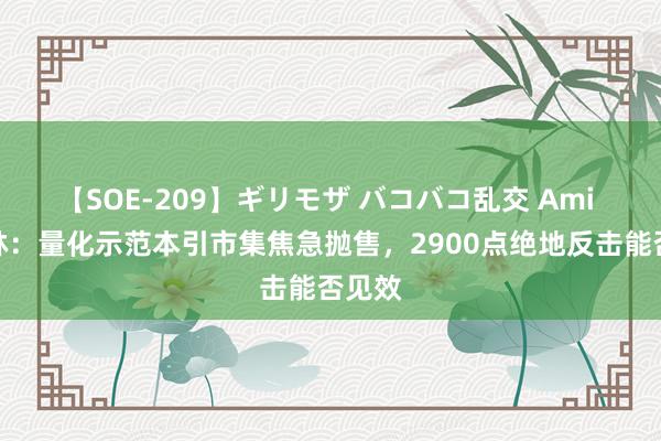 【SOE-209】ギリモザ バコバコ乱交 Ami 李志林：量化示范本引市集焦急抛售，2900点绝地反击能否见效