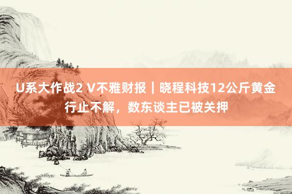 U系大作战2 V不雅财报｜晓程科技12公斤黄金行止不解，数东谈主已被关押