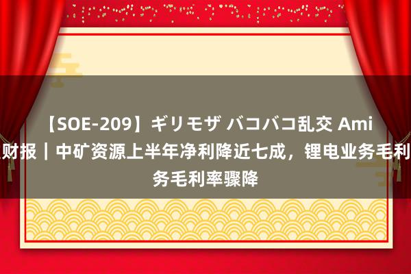 【SOE-209】ギリモザ バコバコ乱交 Ami V不雅财报｜中矿资源上半年净利降近七成，锂电业务毛利率骤降