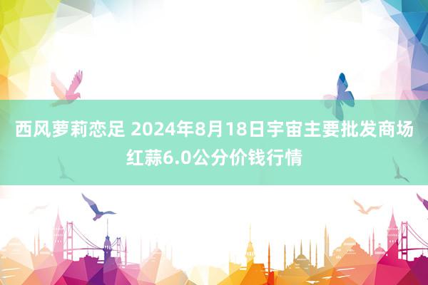 西风萝莉恋足 2024年8月18日宇宙主要批发商场红蒜6.0公分价钱行情