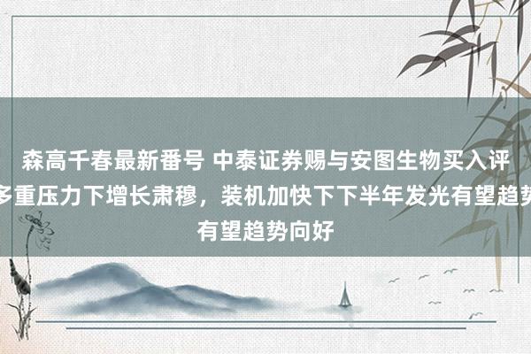 森高千春最新番号 中泰证券赐与安图生物买入评级，多重压力下增长肃穆，装机加快下下半年发光有望趋势向好