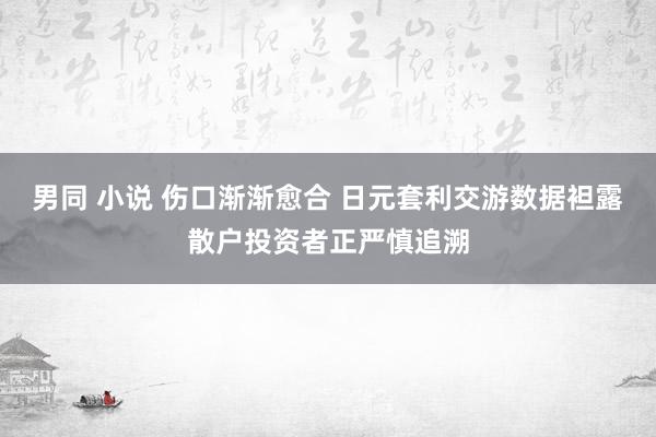 男同 小说 伤口渐渐愈合 日元套利交游数据袒露散户投资者正严慎追溯