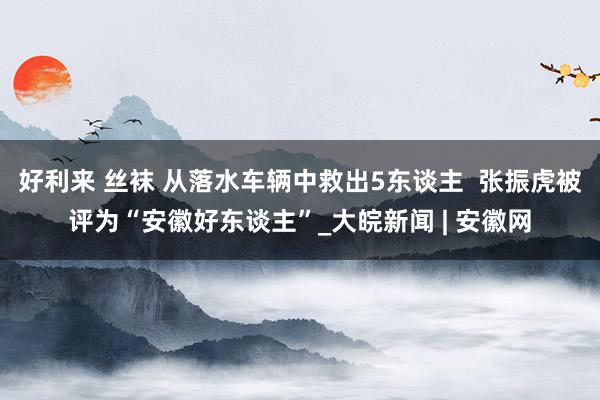 好利来 丝袜 从落水车辆中救出5东谈主  张振虎被评为“安徽好东谈主”_大皖新闻 | 安徽网