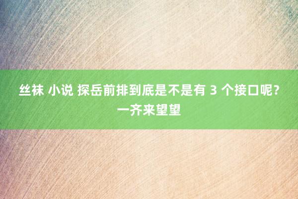 丝袜 小说 探岳前排到底是不是有 3 个接口呢？一齐来望望