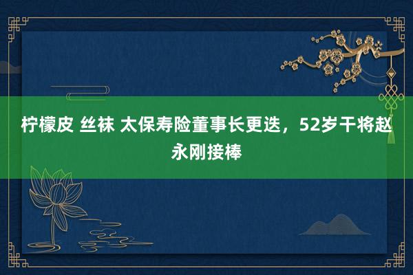 柠檬皮 丝袜 太保寿险董事长更迭，52岁干将赵永刚接棒