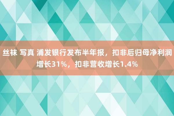 丝袜 写真 浦发银行发布半年报，扣非后归母净利润增长31%，扣非营收增长1.4%