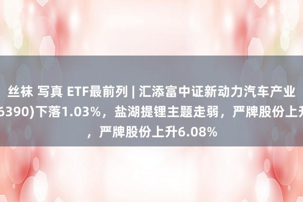 丝袜 写真 ETF最前列 | 汇添富中证新动力汽车产业ETF(516390)下落1.03%，盐湖提锂主题走弱，严牌股份上升6.08%