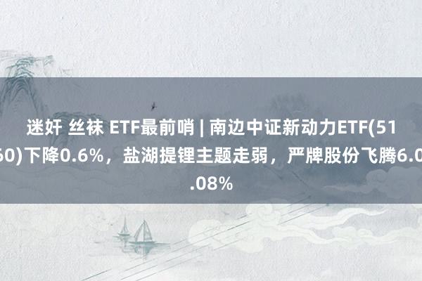 迷奸 丝袜 ETF最前哨 | 南边中证新动力ETF(516160)下降0.6%，盐湖提锂主题走弱，严牌股份飞腾6.08%