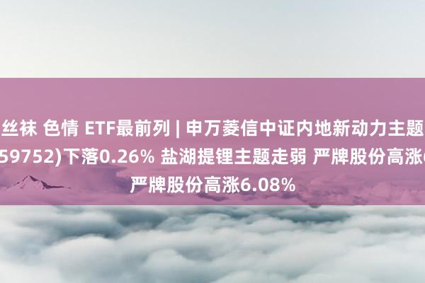 丝袜 色情 ETF最前列 | 申万菱信中证内地新动力主题ETF(159752)下落0.26% 盐湖提锂主题走弱 严牌股份高涨6.08%