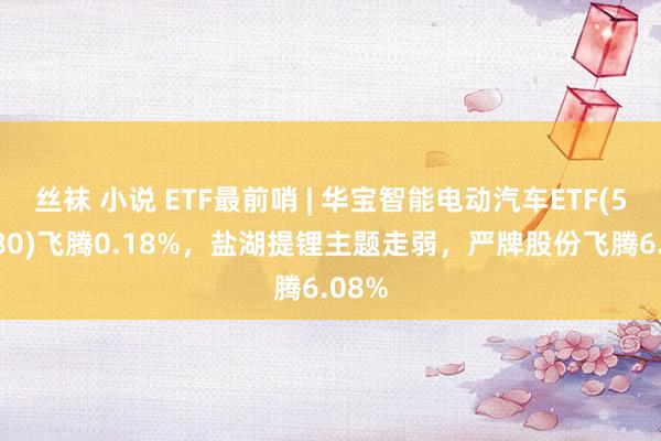 丝袜 小说 ETF最前哨 | 华宝智能电动汽车ETF(516380)飞腾0.18%，盐湖提锂主题走弱，严牌股份飞腾6.08%