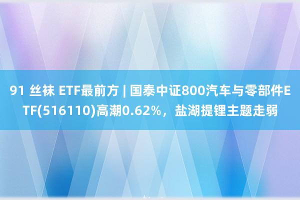 91 丝袜 ETF最前方 | 国泰中证800汽车与零部件ETF(516110)高潮0.62%，盐湖提锂主题走弱