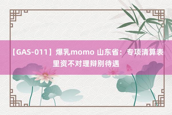 【GAS-011】爆乳momo 山东省：专项清算表里资不对理辩别待遇